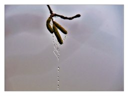 Wolfgang Teuber "Erster Frost"